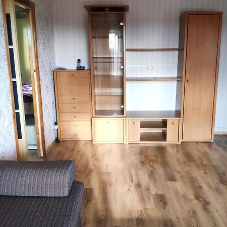 Cozy One Bedroom Apartment Κίεβο Εξωτερικό φωτογραφία